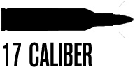 .17 Caliber