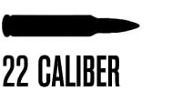 .22 Caliber