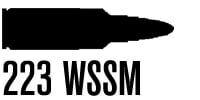 .223 WSSM