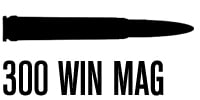 .300 Winchester Magnum