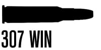 .307 Winchester