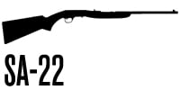 Semi-Auto 22 Rilfes