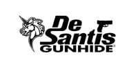 DeSantis Holsters