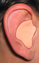 Radians Custom Molded Earplugs Tan Silicone Radians Custom Molded Earplugs Tan Silicone
