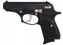 Bersa Thunder Exclusive 380 ACP Pistol with Nickel Accents Bersa Thunder Exclusive 380 ACP Pistol with Nickel Accents