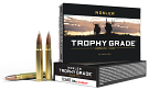 Nosler Trophy Grade  250 Grain Accubond 9.3x62 Mauser Ammunition, 20 Round Box
